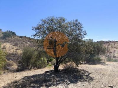 Annonce Vente Terrain Castro-marim