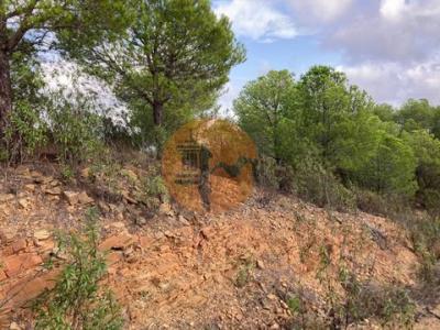 Annonce Vente Terrain Castro-marim