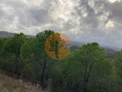 Acheter Terrain 32767 m2 Castro-marim