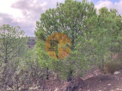 Acheter Terrain 32767 m2 Castro-marim