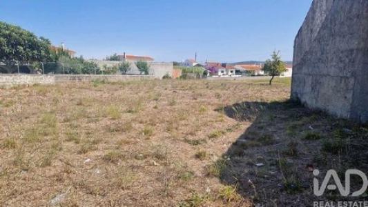 Annonce Vente Terrain Porto-de-mos