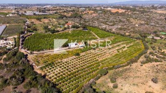 Acheter Maison Silves
