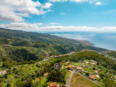 Annonce Vente Terrain Gaula