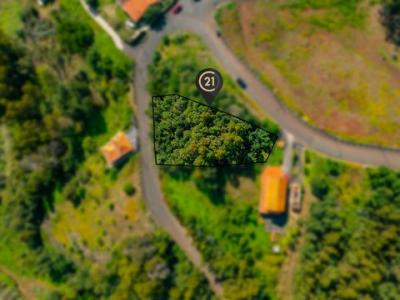 Acheter Terrain Gaula r�gion MADEIRA