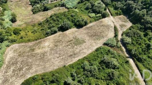 Annonce Vente Terrain Rio-maior