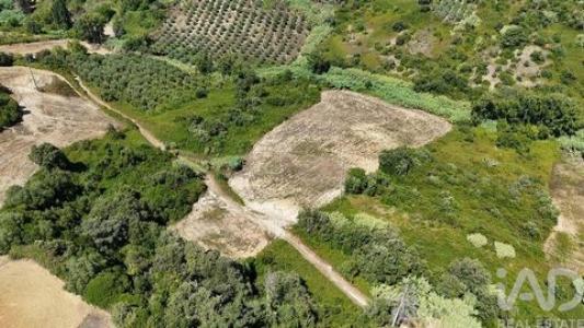 Acheter Terrain 12120 m2 Rio-maior