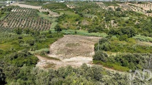 Acheter Terrain Rio-maior r�gion SANTAREM