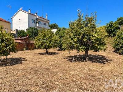 Annonce Vente Terrain Castelo-branco