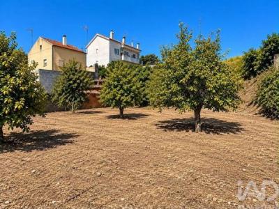 Acheter Terrain 620 m2 Castelo-branco