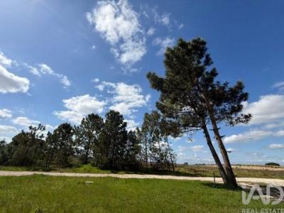 Acheter Terrain 864 m2 Palmela
