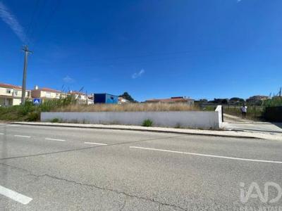 Annonce Vente Terrain Caldas-da-rainha