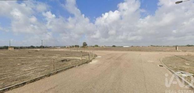 Acheter Terrain Palmela r�gion SETUBAL
