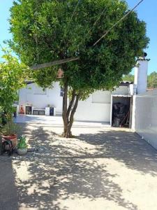 Acheter Maison 1092 m2 Marco-de-canaveses
