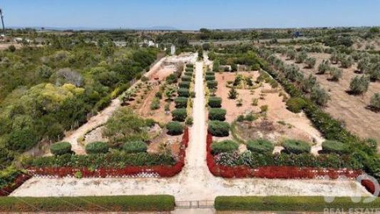 Annonce Vente Terrain Rio-maior