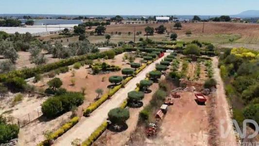 Acheter Terrain Rio-maior r�gion SANTAREM