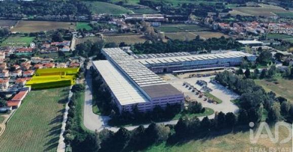 Annonce Vente Local industriel Setubal