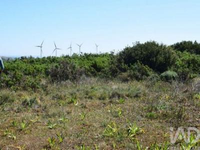 Acheter Terrain 32767 m2 Alenquer