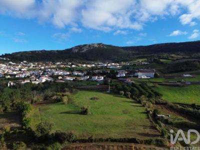 Annonce Vente Terrain Cadaval