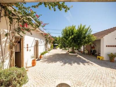 Vente Maison Ferreira-do-zezere AREIAS-E-PIAS 14