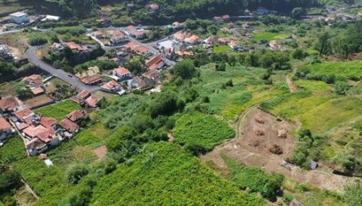 Annonce Vente Terrain Boa-ventura