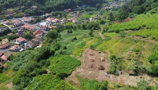 Acheter Terrain 629 m2 Boa-ventura