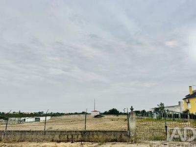 Annonce Vente Terrain Palmela