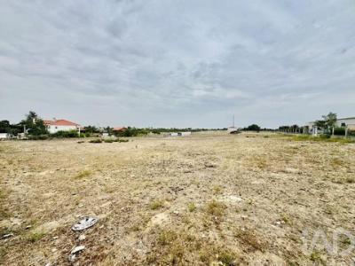 Acheter Terrain 5000 m2 Palmela