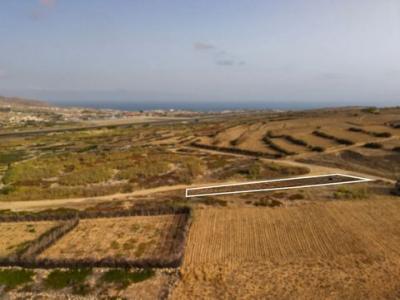 Vente Terrain Porto-santo SA�TIO-DAS-COVAS 30
