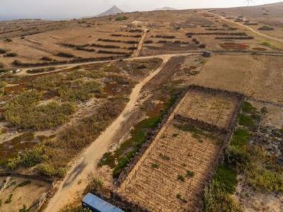 Acheter Terrain 640 m2 Porto-santo
