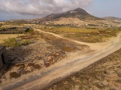 Acheter Terrain Porto-santo r�gion MADEIRA