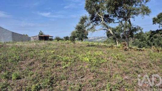 Vente Terrain Alcobaca VIMEIRO 10