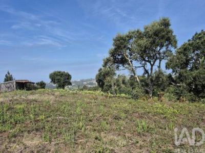 Acheter Terrain 1950 m2 Alcobaca
