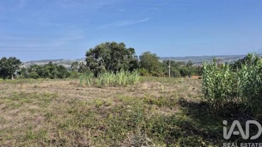 Acheter Terrain Alcobaca r�gion LEIRIA