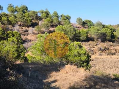 Annonce Vente Terrain Castro-marim
