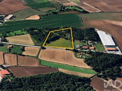Vente Terrain Vila-do-conde JUNQUEIRA 13 au Portugal
