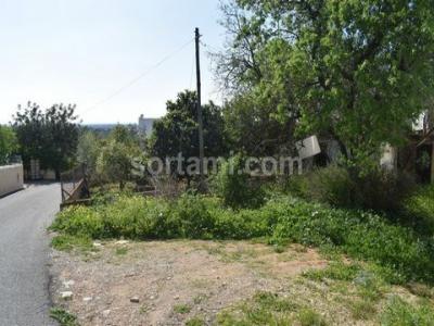Annonce Vente Terrain Loule