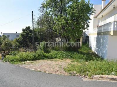 Acheter Terrain Loule