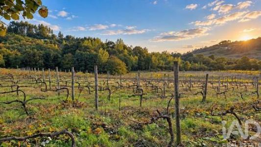 Annonce Vente Maison Marco-de-canaveses