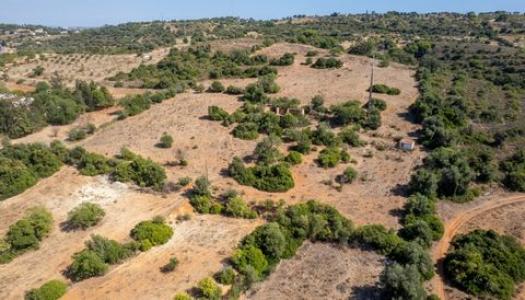 Annonce Vente Terrain Porches