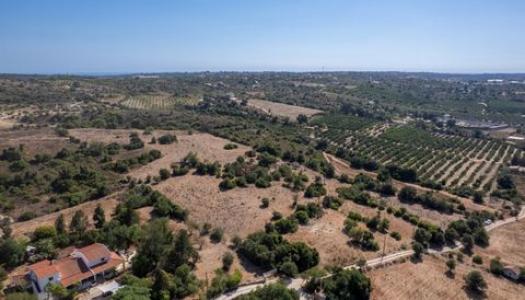Acheter Terrain Porches r�gion FARO