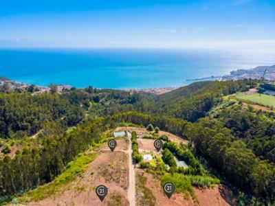Annonce Vente Terrain Funchal