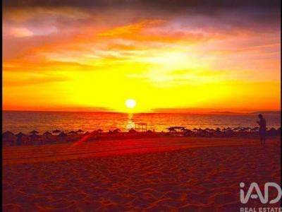 Vente Terrain Alcacer-do-sal COMPORTA 15