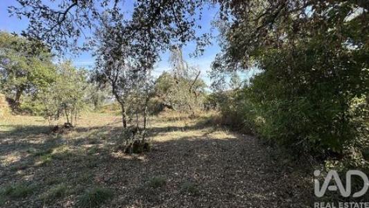 Annonce Vente Terrain Pedrogao-grande