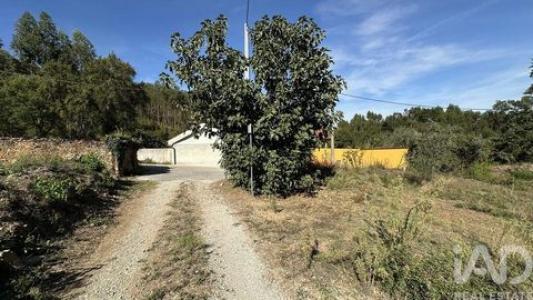 Acheter Terrain Pedrogao-grande r�gion LEIRIA