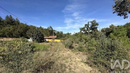 Annonce Vente Terrain Pedrogao-grande