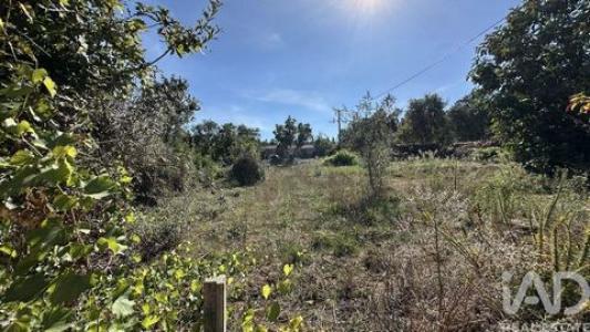 Annonce Vente Terrain Pedrogao-grande