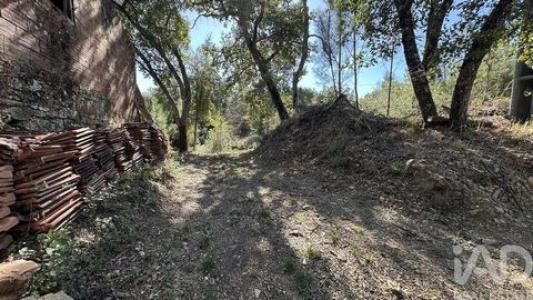 Acheter Terrain 647 m2 Pedrogao-grande