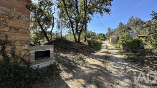 Acheter Terrain Pedrogao-grande r�gion LEIRIA
