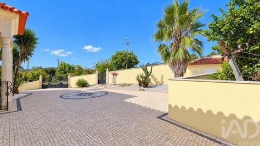 Acheter Maison 567 m2 Felgueiras