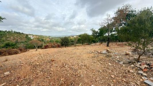 Acheter Maison 4700 m2 Olhao